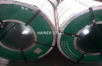 الصين ASTM AISI SUS 304 الفولاذ المقاوم للصدأ الملفوفة على الساخن مع النهاية الشعر المزود